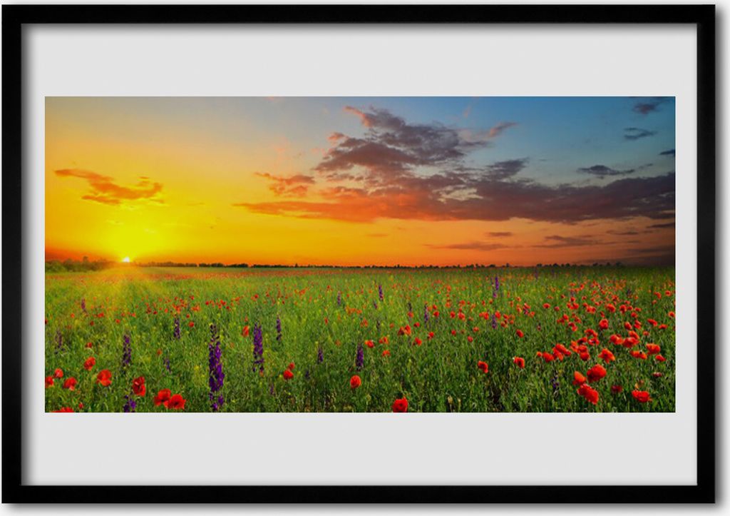 Bild 70x50 MDF-Rahmen Wandkunst Sun Wiese Blumen Natur