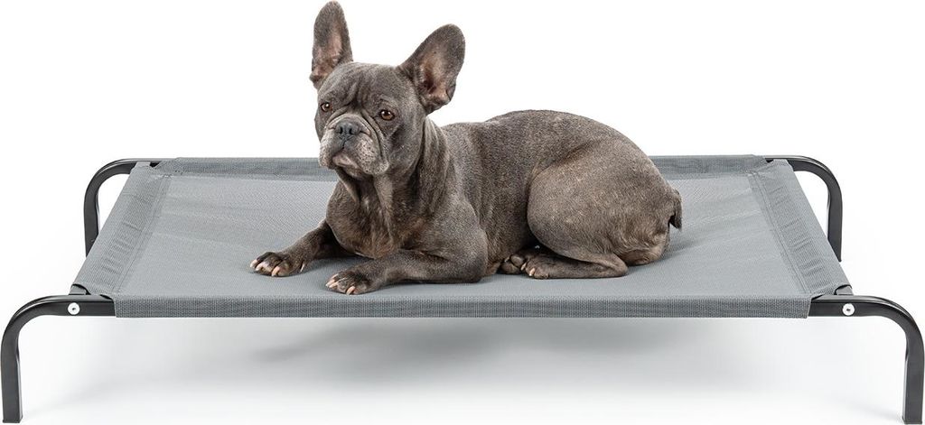 A French Bulldog lies on a gray elevated pet bed against a white background.