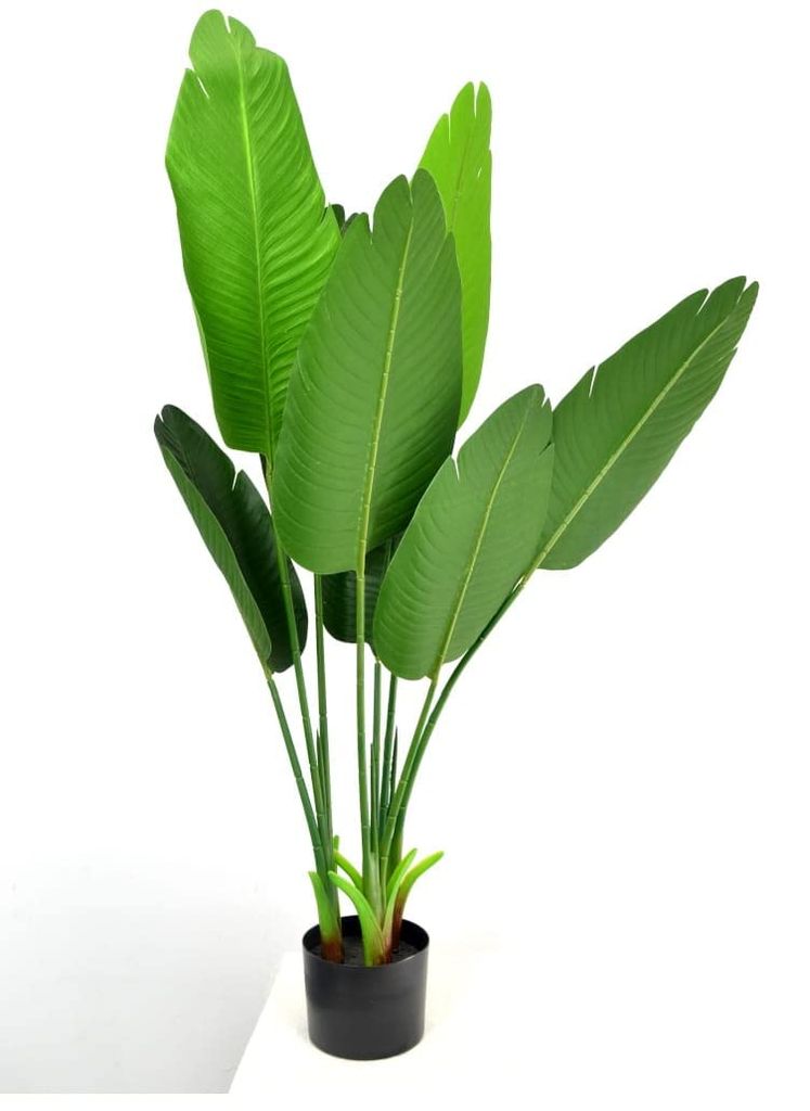 DIXIE STORE Strelitzia - Plante artificielle, fleurs Image du produit 