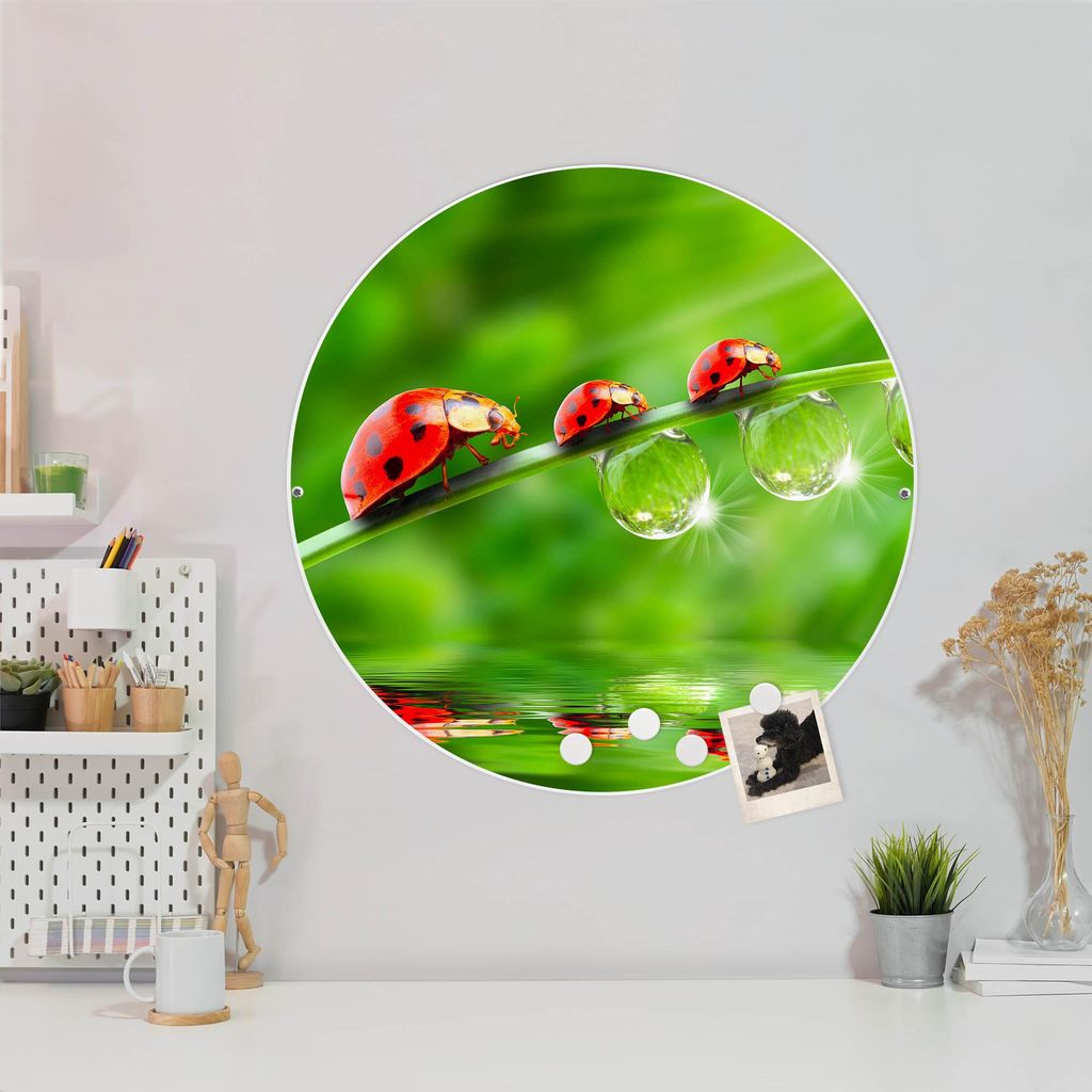 Design Stahlmagnettafel Weiß Rund 47cm Für Jeden Einen