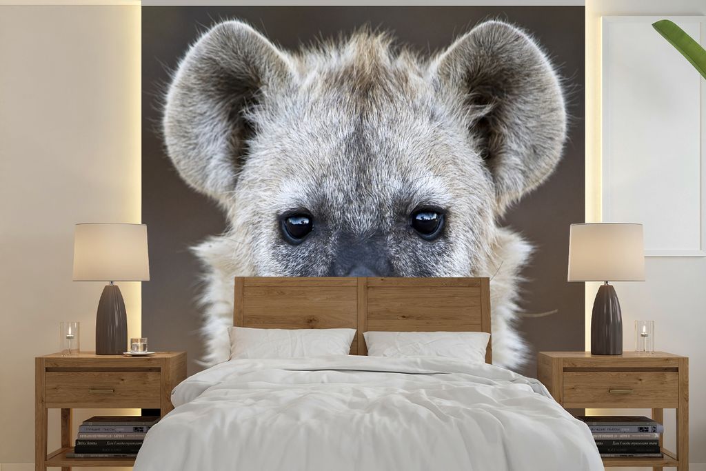 MuchoWow Fototapete für Wohnzimmer oder Schlafzimmer Wandtapete Vinyl Motivtapete Hyäne - Jung - Porträt - 240x240 cm - Schlafzimmer-Tapete