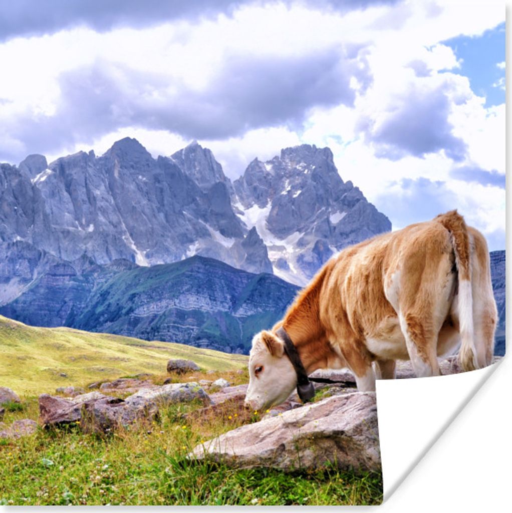 MuchoWow Poster Alpen - Kuh - Berg 50x50 cm - Wohnzimmerdekoration
