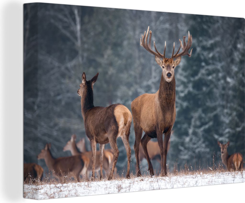 OneMillionCanvasses - Leinwandbilder - 140x90 cm, Waldtiere - Hirsche - Landschaft - Winter - Schnee - Natur, Wandbilder Kunstdruck Wanddekoratio...