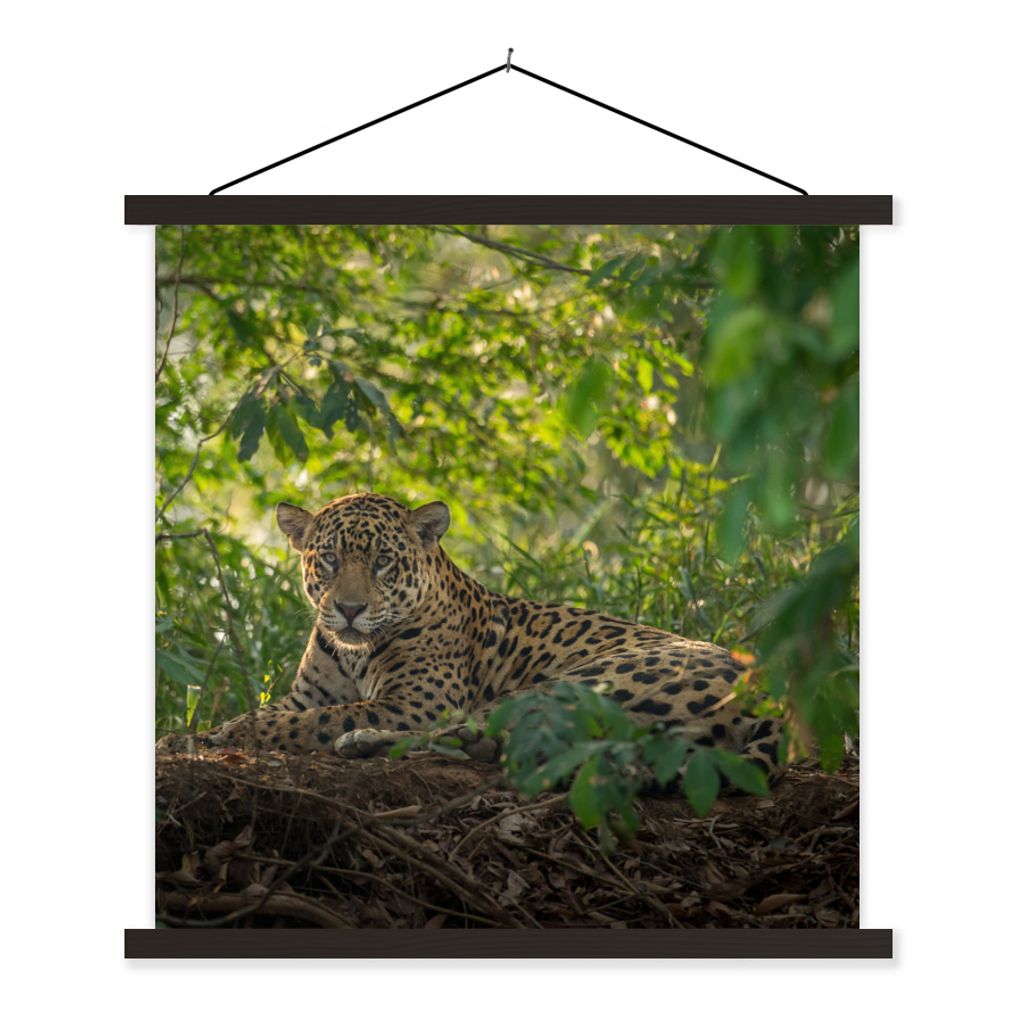MuchoWow Textilposter Jaguar im Dschungel 60x60 cm mit schwarzem Rahmen - Posteraufhänger