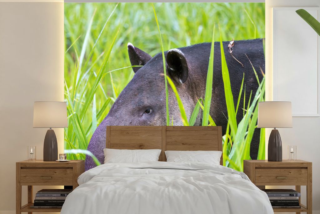 MuchoWow Fototapete für Wohnzimmer oder Schlafzimmer Wandtapete Vinyl Motivtapete Mittelamerikanischer Tapir im Nationalpark von Costa Rica - 28...