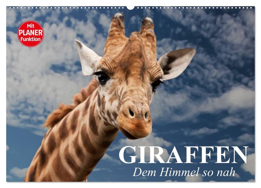 Giraffen. Dem Himmel so nah (Wandkalender 2027 DIN A2 quer), CALVENDO Monatskalender
