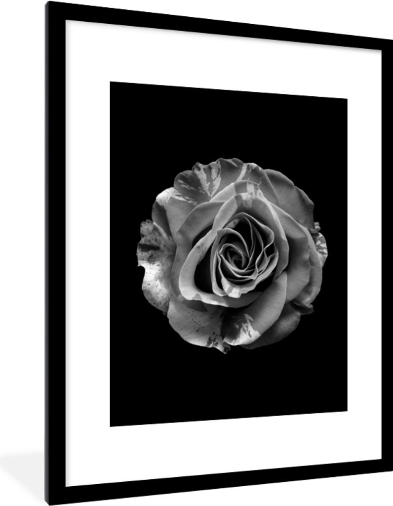 MuchoWow Gerahmtes Poster Blumen - Rose - Schwarz - Weiß - Botanisch 60x80 cm - Poster mit Schwarzem Bilderrahmen Wandposter Rahmen Foto Bilder ...