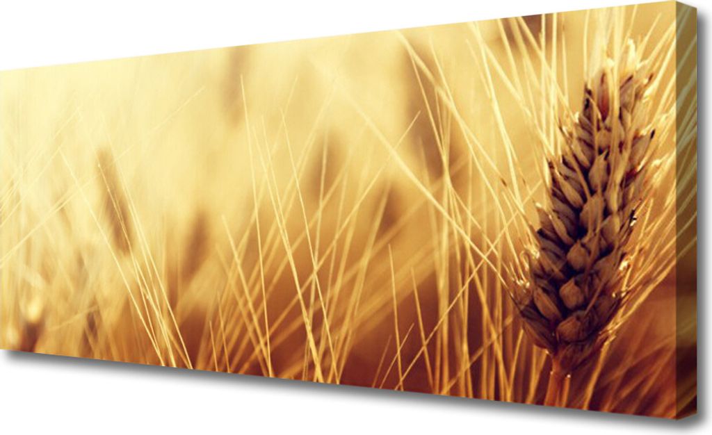 Tulup Leinwand-Bilder 125x50 Wandbild Canvas Kunstdruck Weizen Pflanzen