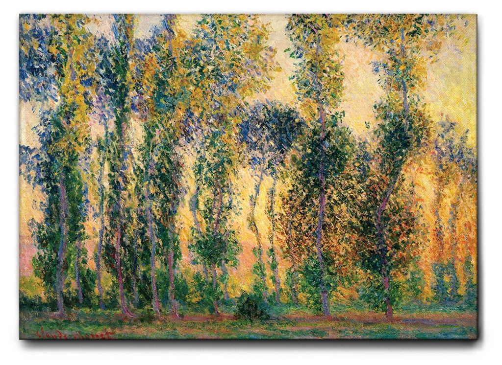Giallobus - Pappeln in Giverny - Claude Monet - 100L x 70B cm - Bild - Leinwand mit Standardrahmen