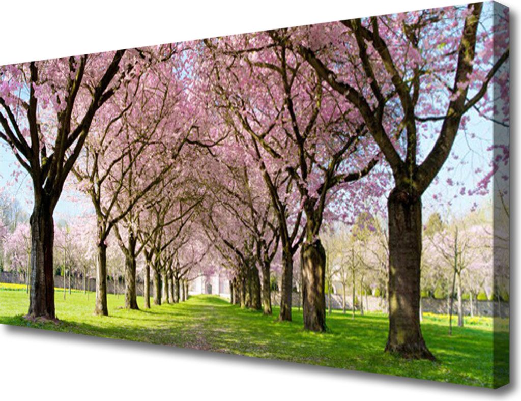 Tulup Leinwand-Bilder 100x50 Wandbild Canvas Kunstdruck Fußpfad Bäume Natur