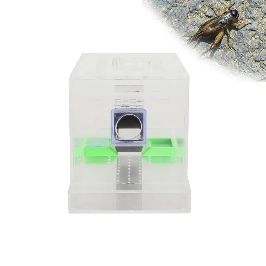 Kit élevage de grillons Acrylique Cricket Keeper avec tubes de 15cm