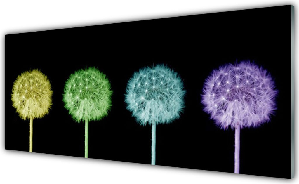 Glasbilder 125x50 Wandbild Druck auf Glas Pusteblume Pflanzen
