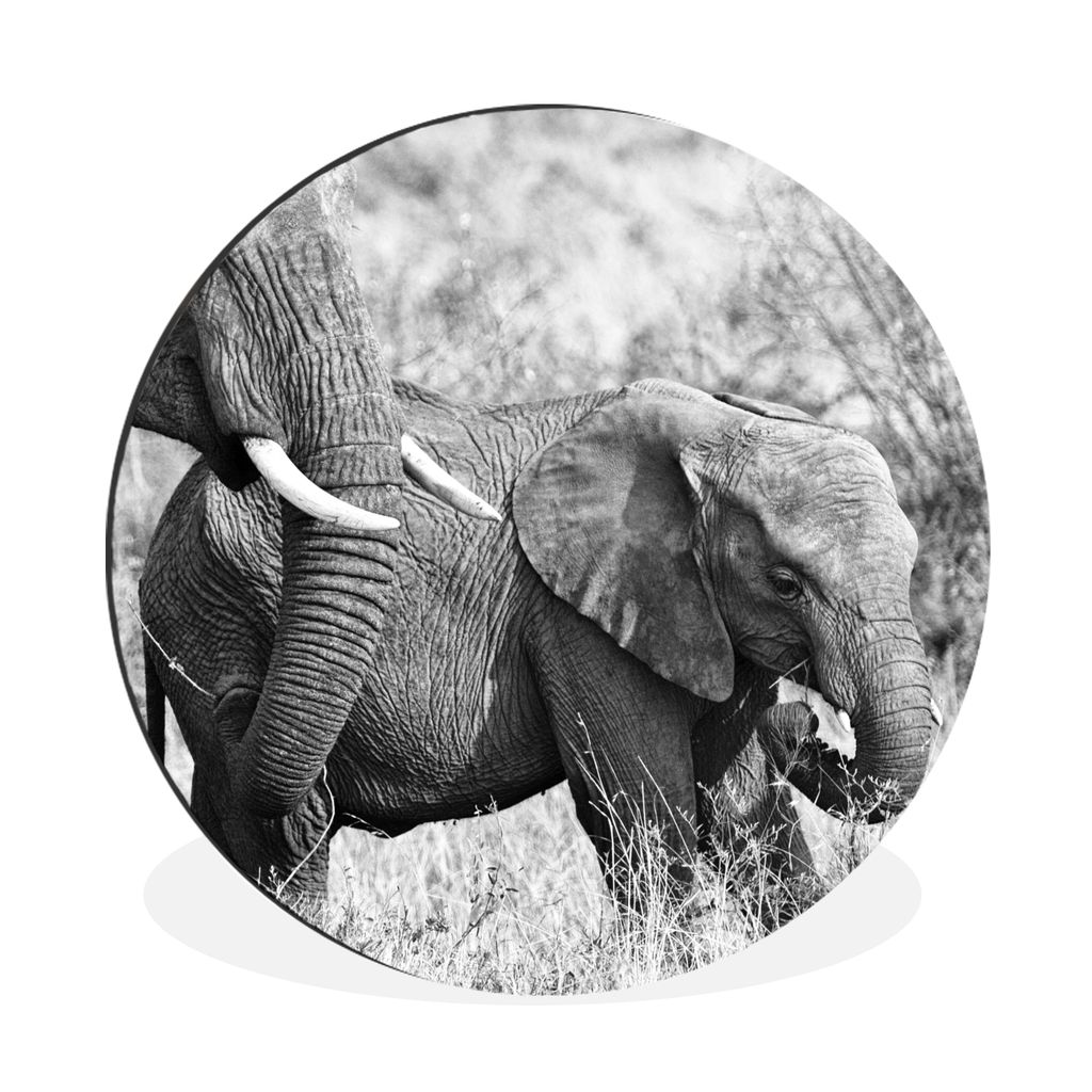 MuchoWow Aluminium Wandkreis Elefant - Tiere - Gras - Schwarz und weiß Ø 90 cm Wanddeko Modern Wohnzimmer - Mauerkreis - Wandbilder - Runde Bil...