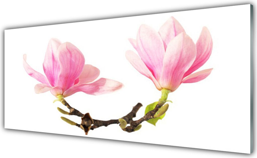 Glasbilder 125x50 Wandbild Druck auf Glas Blumen Pflanzen