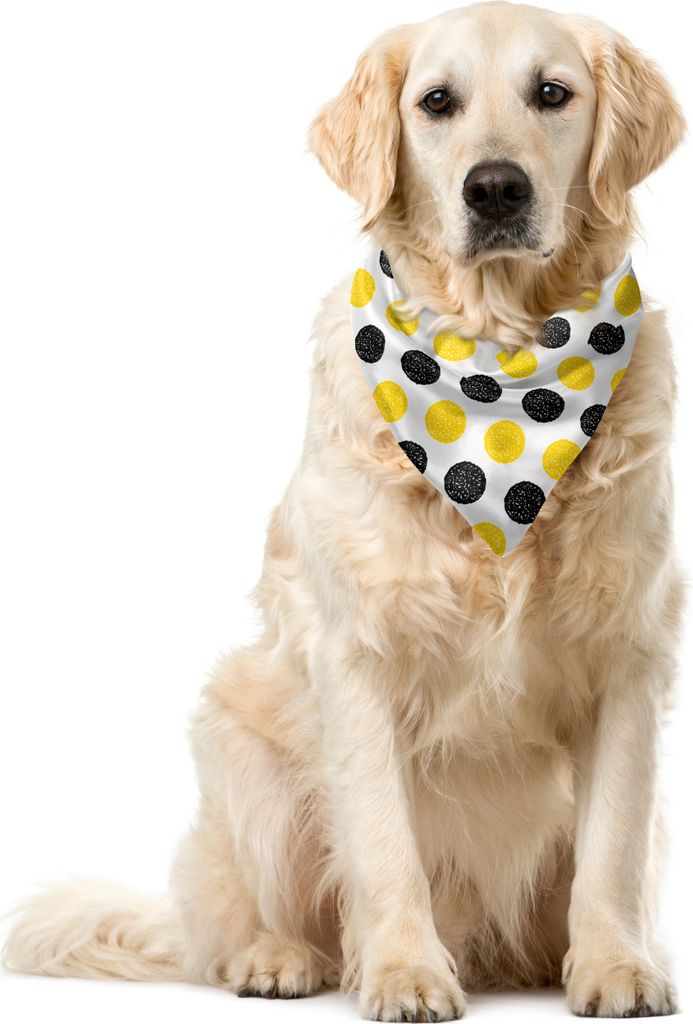 ABAKUHAUS Gelb und Weiß Haustier Bandana, grungy Runde, 40x40 cm, Yellow Koksgraue