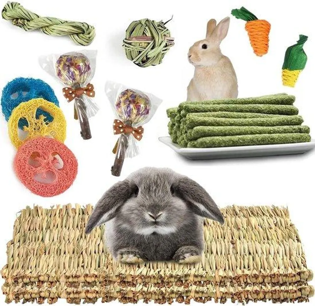 Tapis en fibres naturelles pour petits animaux et jouets à mâcher