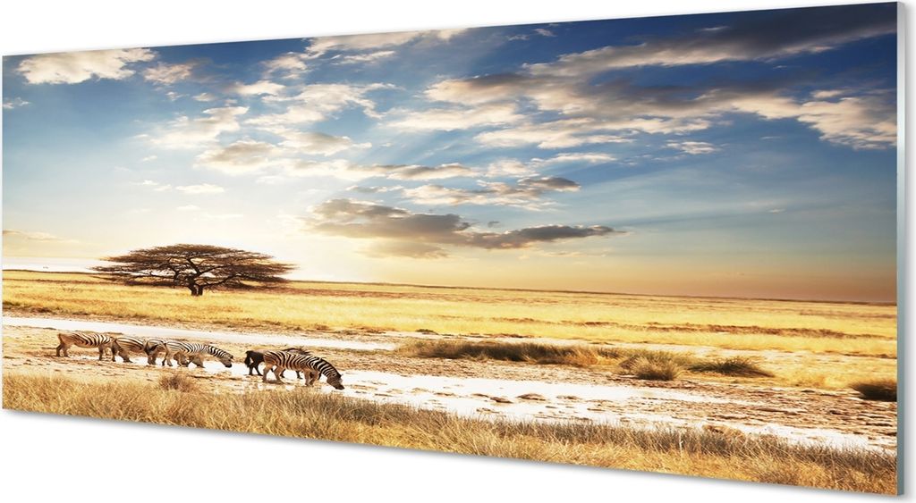 Glasbilder 125x50 Wandkunst Zebra Wolken Baum Produktbild 