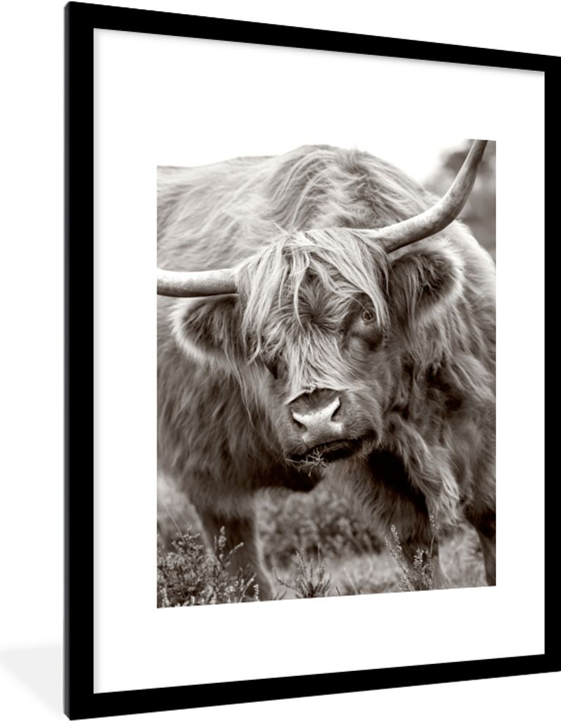 MuchoWow Gerahmtes Poster Schottischer Highlander - Schwarz - Weiß - Hörner 60x80 cm - Poster mit Schwarzem Bilderrahmen Wandposter Rahmen Foto...