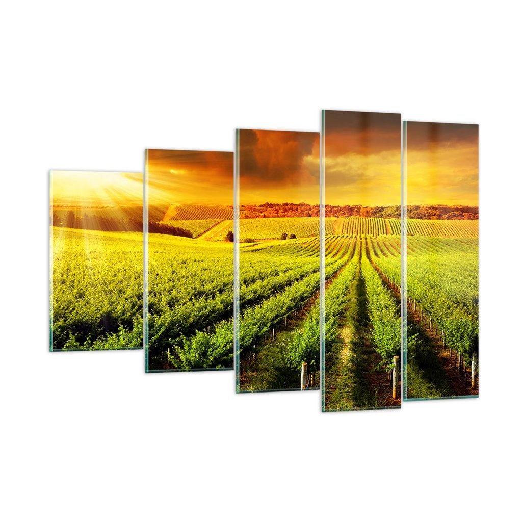 Bilder auf glas - Land Weingut Pflanzung - 150x100cm - Glasbilder - Wandbilder - Kunstdruck - zum Aufhängen bereit - Wanddekoration aus Glas - Gla...