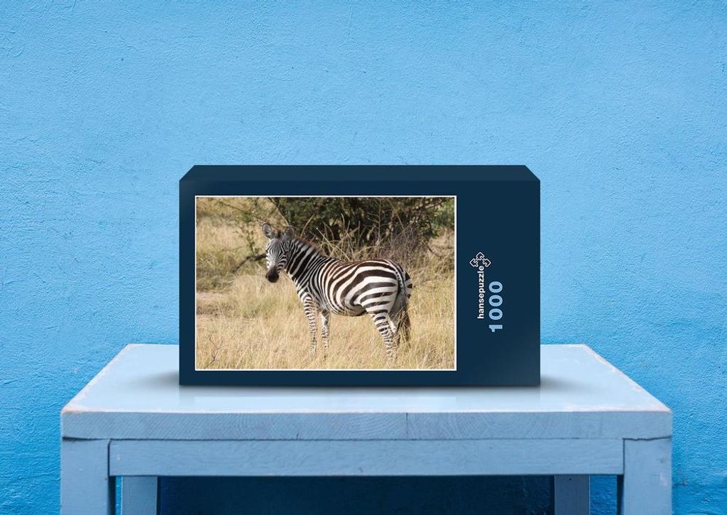 hansepuzzle 75661 - Zebra Puzzle, 1000 Teile, Tierwelt, 60,0 x 46,0cm mit hochwertiger Aufbewahrung, Kartonbox und wiederverschließbarem Beutel