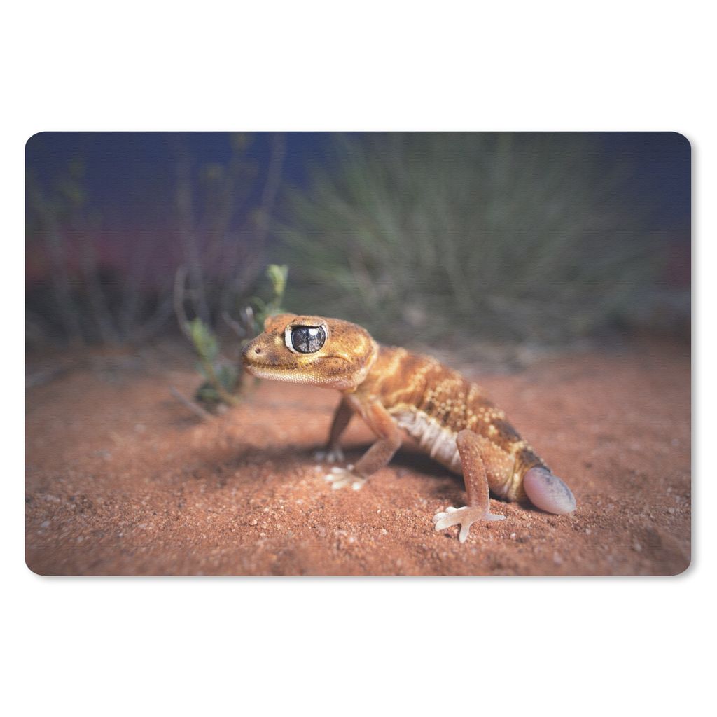 MuchoWow Schreibtischunterlage Jung - Gecko - Sand 60x40 cm - XXL Mauspad - Großes Mauspad