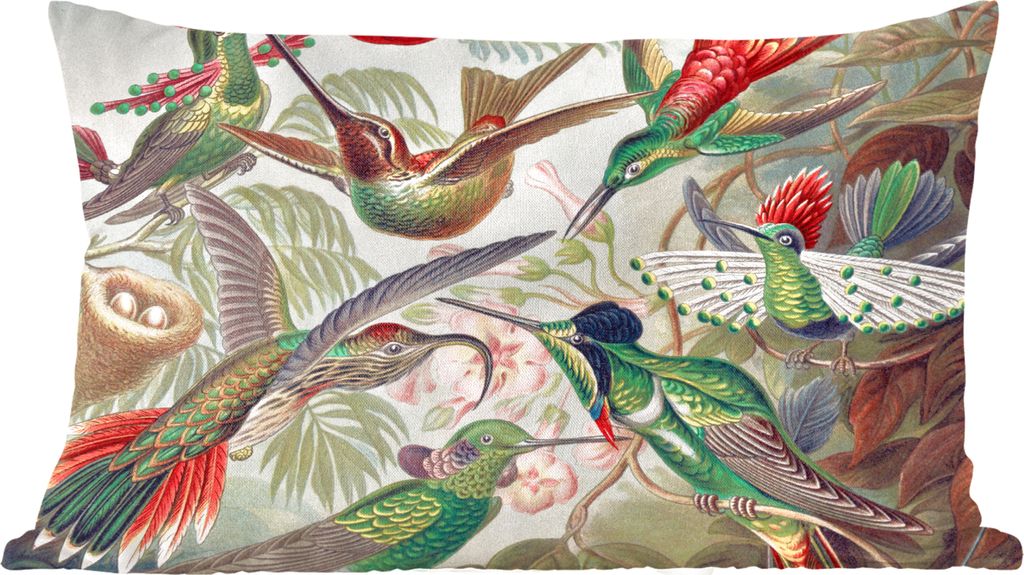MuchoWow Zierkissen Sofakissen Wohnzimmer Dekokissen 50x30 cm Kolibri - Vintage - Ernst Haeckel - Vogel - Kunst - Natur - Wohnzimmerdekoration - ...