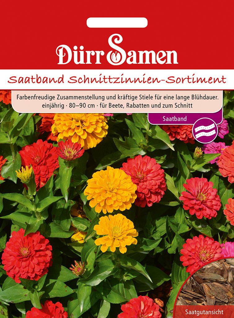 Dürr-Samen - Saatband Schnittzinnien-Sortiment - Saatgut - 4401