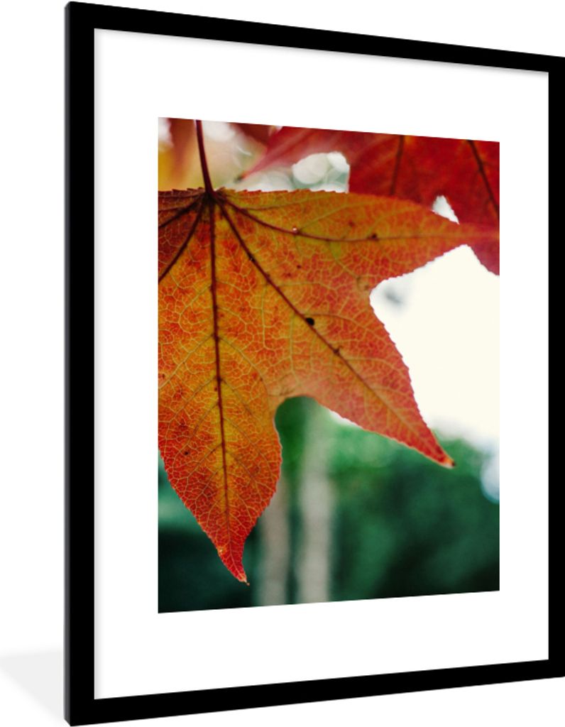MuchoWow Gerahmtes Poster Herbst - Landleben - Blätter - Jahreszeiten - Landleben 60x80 cm - Poster mit Schwarzem Bilderrahmen Wandposter Rahmen...