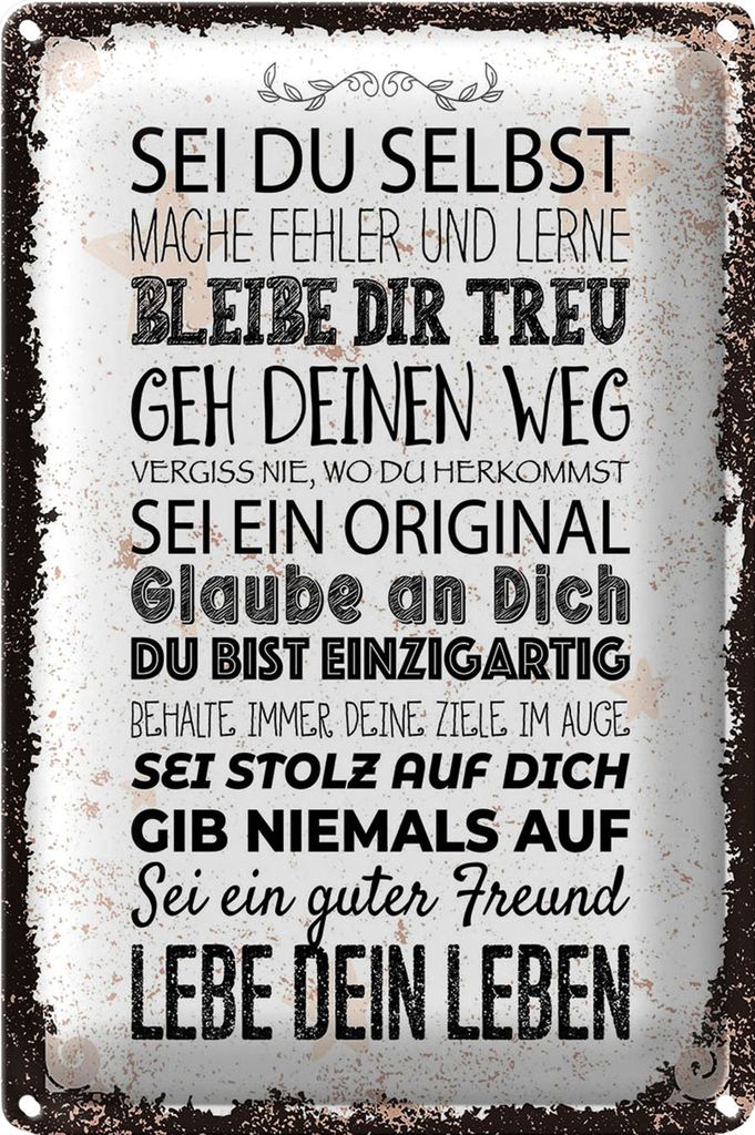 Blechschild Spruch Sei du selbst mache Fehler lerne 40x30cm