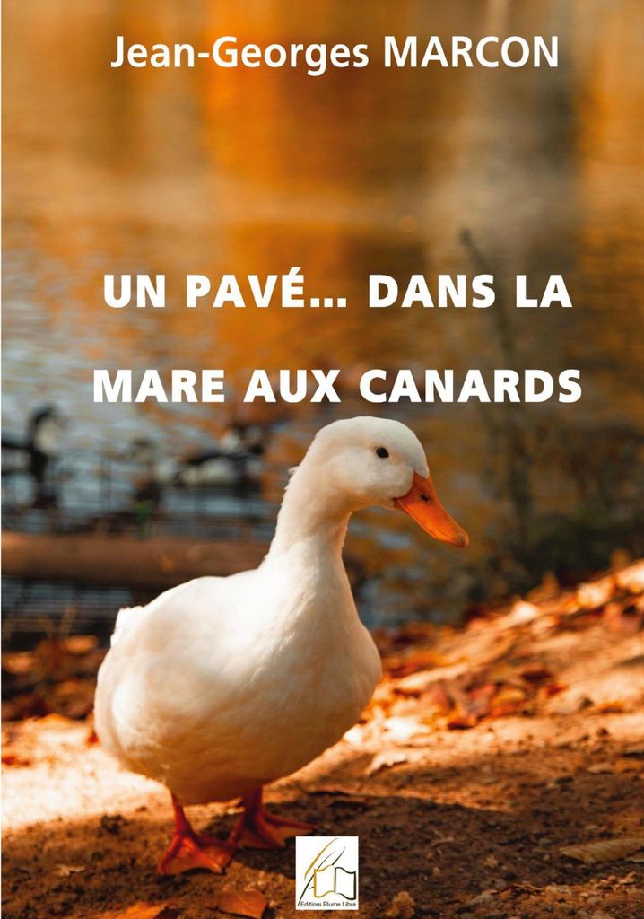 Un pavé... dans la mare aux canards