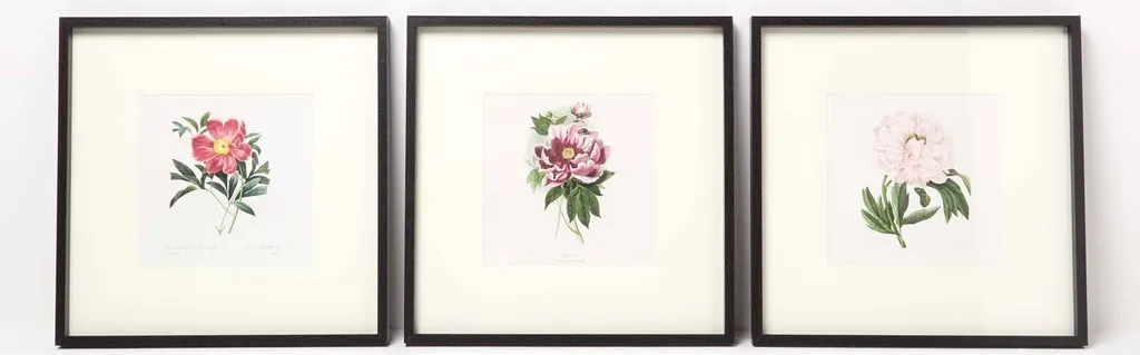 Décorer un Salon avec le Lot de 3 Tableaux Fleurs Pivoines 40x40 cm