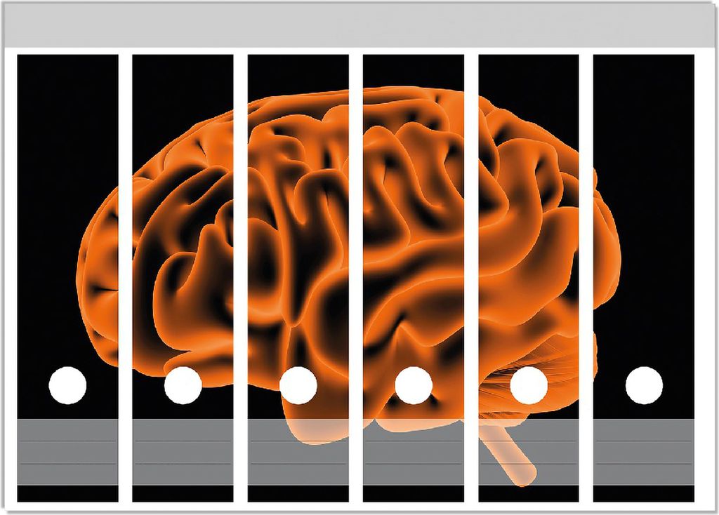 Wallario Ordnerrücken Sticker, selbstklebend für breite Ordner, 6 Stück, Motiv Menschliches Gehirn in leuchtend orangener Farbe