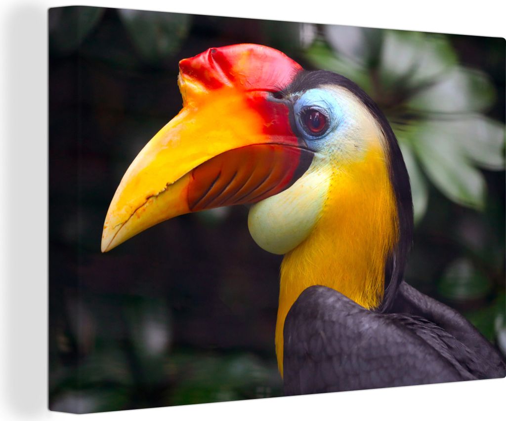 OneMillionCanvasses - Leinwandbilder - 140x90 cm, Vogel - Hornvogel - Regenwald, Wandbilder Kunstdruck Wanddekoration