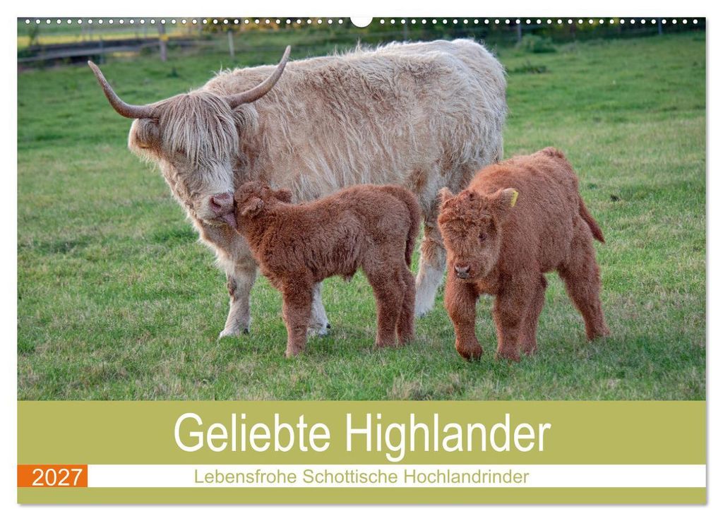 Geliebte Highlander (Wandkalender 2027 DIN A2 quer), CALVENDO Monatskalender