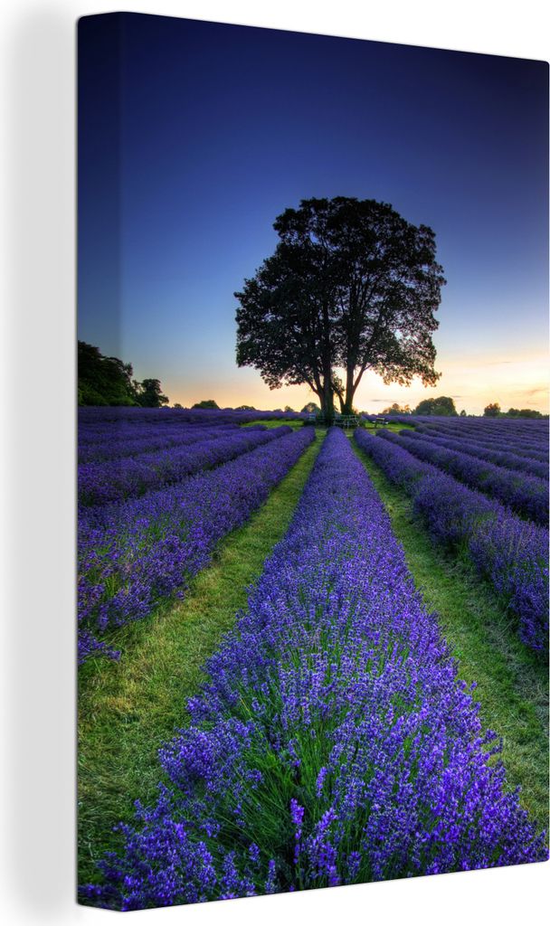 OneMillionCanvasses - Leinwandbilder - 90x140 cm, Reihen von lila Lavendel, Wandbilder Kunstdruck Wanddekoration - Foto auf Leinwand - Gemälde a...