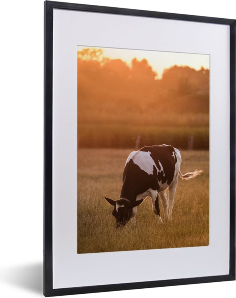 MuchoWow Gerahmtes Poster Kuh - Sonne - Tiere 30x40 cm - Poster mit Schwarzem Bilderrahmen Wandposter Rahmen Foto Bilder - Wandposter Schlafzimmer