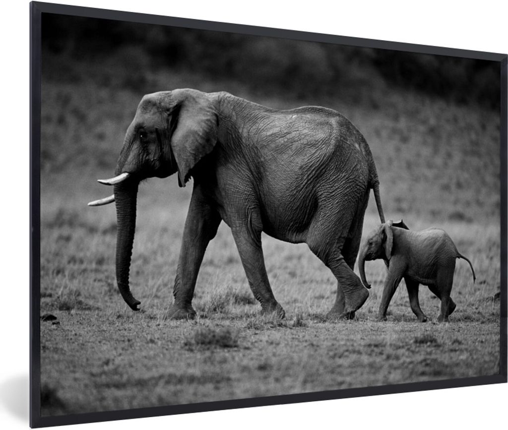 MuchoWow Gerahmtes Poster Kind läuft nach Mutter Elefant - schwarz und weiß 60x40 cm - Poster mit Schwarzem Bilderrahmen Wandposter Rahmen Foto...