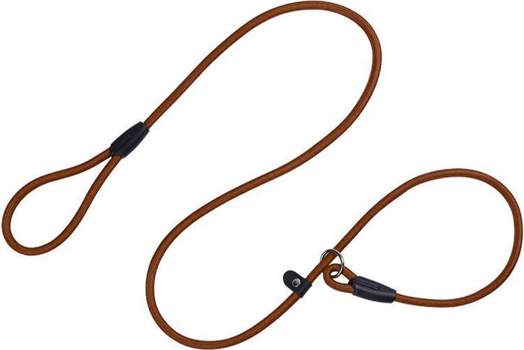 Robuste Hundeleine mit verstellbarer Schlaufe, geflochtenes Nylonseil mit hoher Dichte, Trainingsleine in leuchtenden Farben für große, mittelgro...