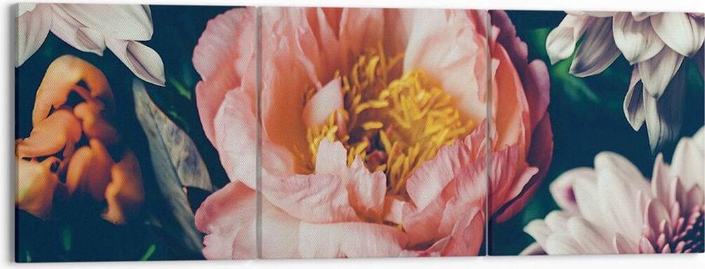 Bild auf Leinwand - Leinwandbild - 3 Teile - Blumen Pfingstrose Holzig - 150x50cm - Wand Bild - Wanddeko - Wandbilder - Leinwanddruck - Bilder - Wa...