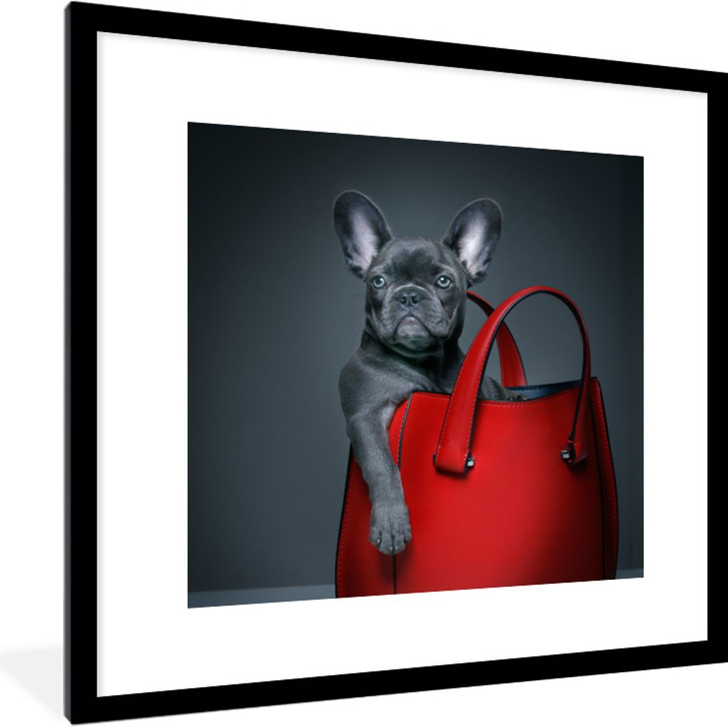 MuchoWow Gerahmtes Poster Hund - Lustig - Tasche - Kinder - Jungen - Mädchen - Kinder 40x40 cm - Poster mit Schwarzem Bilderrahmen Wandposter Ra...