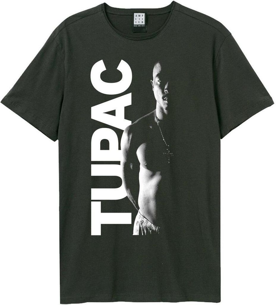 Amplified - T-Shirt für Herren/Damen Uni GD2159 (3XL) (Holzkohle)