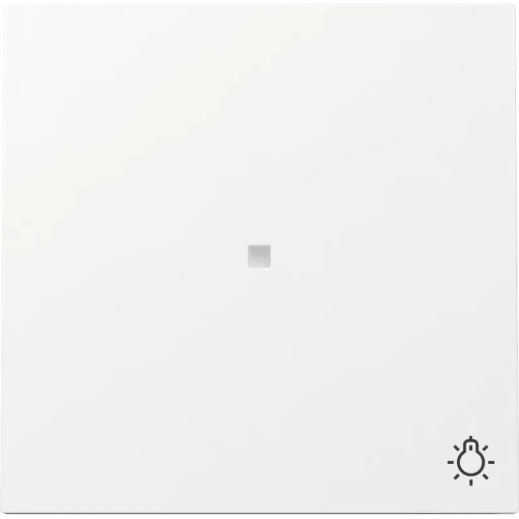 Gira 367470 Bascule de contrôle avec fenêtre et symbole lumière blanc