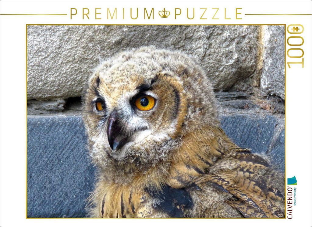 CALVENDO Puzzle Junguhu - Kassel-Lutherturm | 1000 Teile Lege-Größe 64x48cm Foto-Puzzle für glückliche Stunden