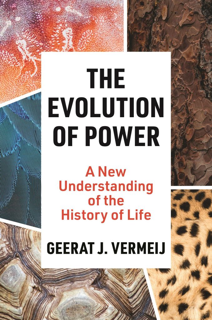 Evolution Of Power – Lingua: Inglese