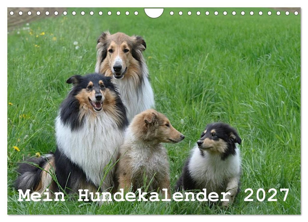 Mein Hundekalender 2027 (Wandkalender 2027 DIN A4 quer), CALVENDO Monatskalender