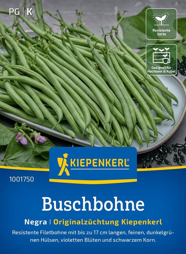 Kiepenkerl Buschbohnensamen Negra Phaseolus vulgaris nanus 10 lfd. Meter