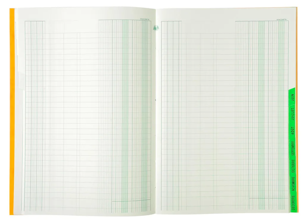 Piqûre Échéancier 80 Pages Format A4 Exacompta 460E Couverture Rigide - 2