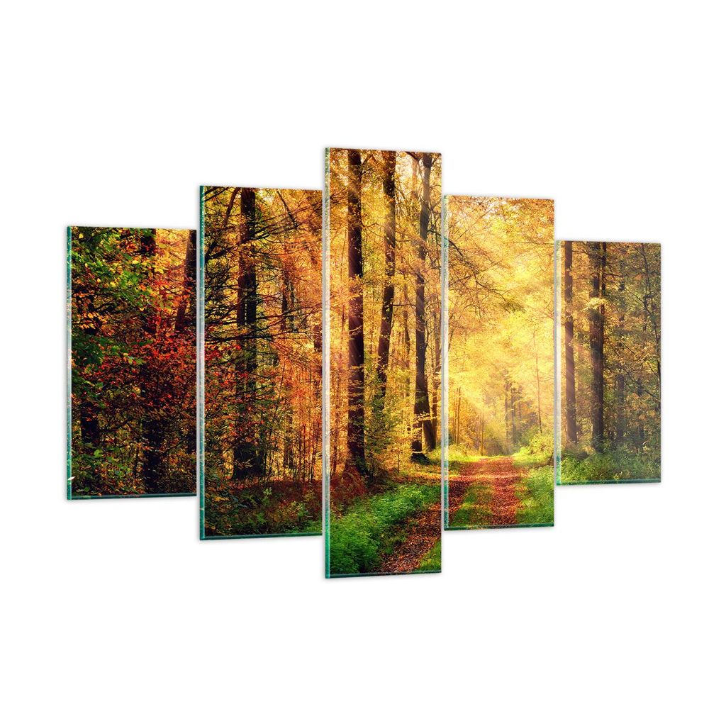 Bilder auf glas - Wald Baum Natur - 150x100cm - Glasbilder - Wandbilder - Kunstdruck - zum Aufhängen bereit - Wanddekoration aus Glas - Glas Bilde...