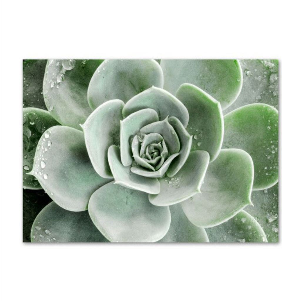 TPFLiving Kunstdruck LW-42 (OHNE RAHMEN) Poster - Leinwand - Wandbild - Hochauflösender Giclée-Druck, langlebig und hochwertig - Blumen und Blät...