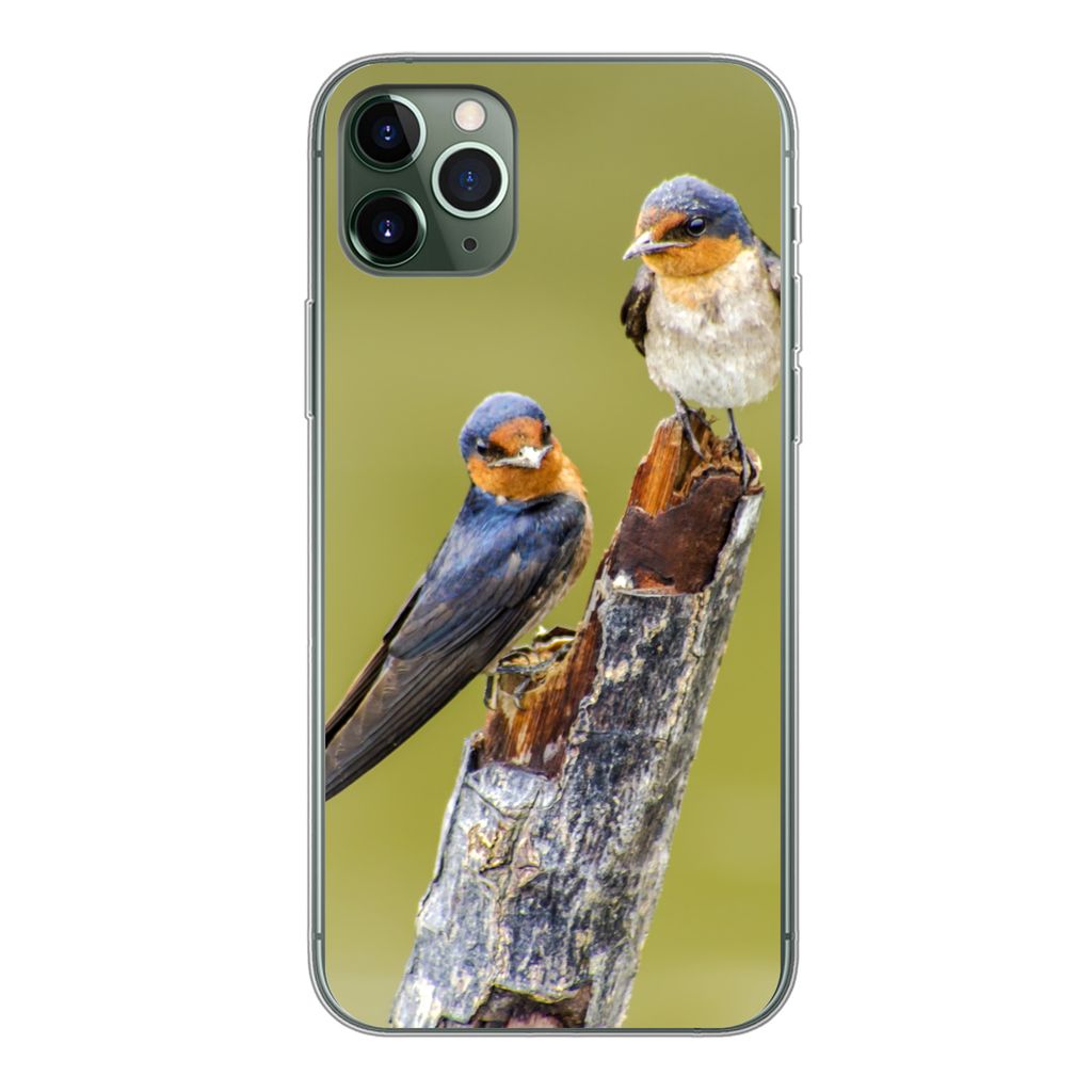 MuchoWow Handyhülle Schutzhülle Hülle für iPhone 11 Pro Max Vögel - Zweig - Porträt Silikon Softcase Handy Hülle - Schutz